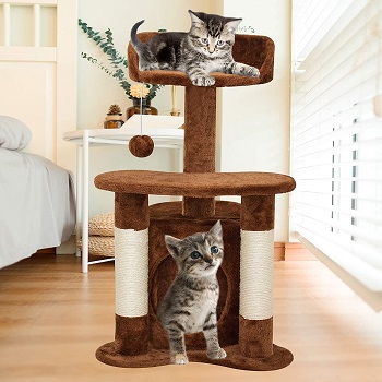 67i Cat Tree For Two Kittens Review