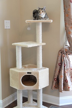 Best 6 Cheap Cat Trees For Large Cats Climbing Securely 2022