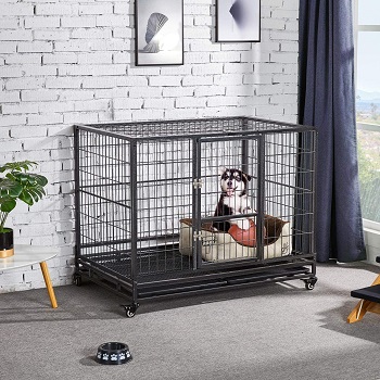 BEST HEAVY-DUTY LARGE 2 DOOR DOG CRATE