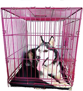 BEST OF BEST EXTRA LARGE PINK DOG CRATE