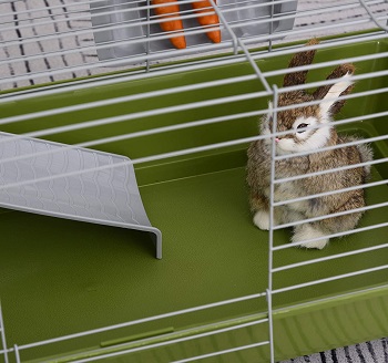 BEST SMALL Cool Rabbit Cage