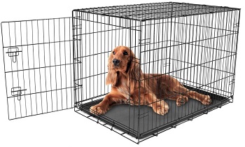 Best Cheap Intermediate Carlson Pet Products Metal Dog Crate