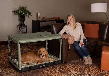 BEST HARD COLLAPSIBLE PLASTIC DOG CRATE