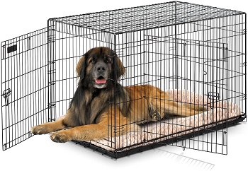 Best For Puppies Large Double Door Precision Pet Great Crate