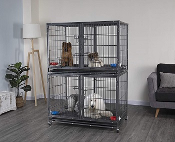 Best Heavy-Duty Large Double Door Go Pet Club Heavy Duty Dog Crate