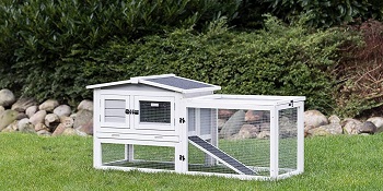 Best Large Insulated Rabbit Hutch