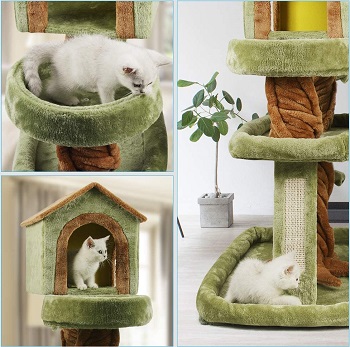 Best Limbs Cat Tree With Branches