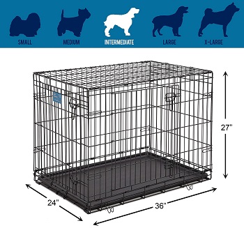 Top 5 Intermediate Dog Crates Suitable For Everyone's Budget