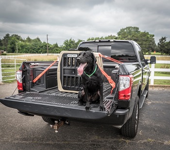 BEST HEAVY-DUTY HARD PLASTIC DOG CRATE