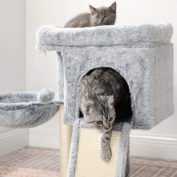 Best Small Cat Tree With Large Perches