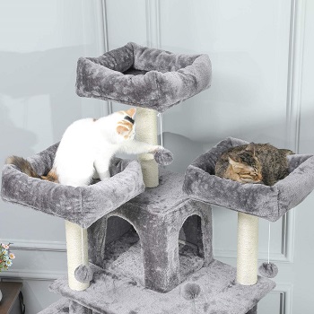 Best multi-level cat tree with hammock for large cats