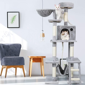 Best tall cat tree with hammock for large cats