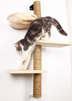 Big Nose Wall Tall Cat Tree Review