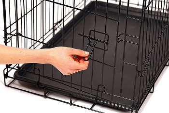 Carlson Pet Products Secure Dog Crate Review