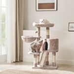 Cat Tree For Two Cats