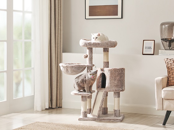 Cat Tree For Two Cats