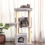 Cat Trees For Extra Large Cats