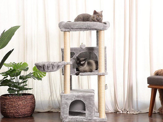 Cat Trees For Extra Large Cats