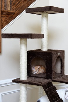 GleePet GP78700623 Cat Tower With Ramp Review