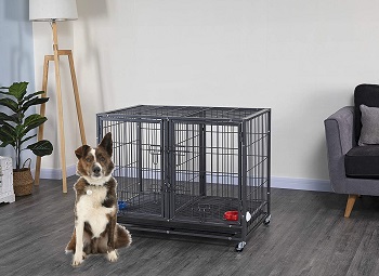 Go Pet Club Dog Crate