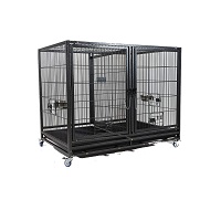 BEST OF BEST CRATE FOR 2 LARGE DOGS Summary