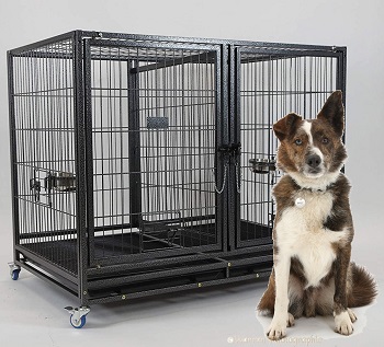 BEST OF BEST DOUBLE CRATE FOR TWO DOGS