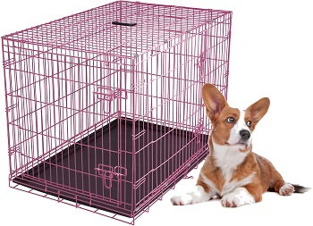 Internet's Best Wire Dog Kennel