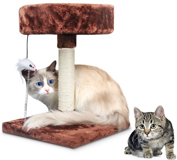 Korimefa Kitten Cat Tree With Perch Review