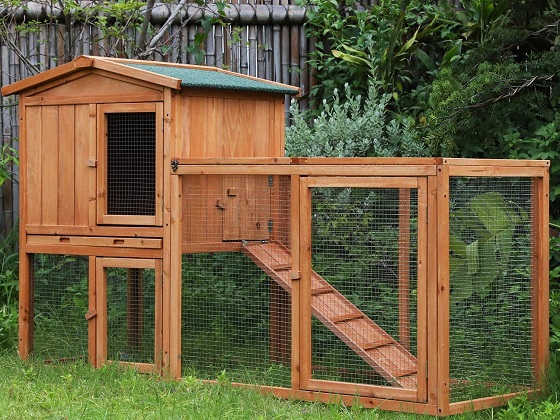 Large Outdoor Rabbit Hutch