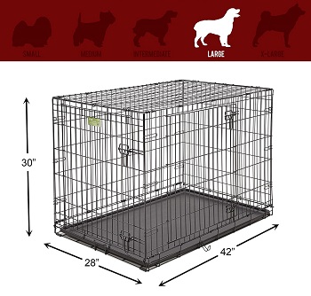 MidWest Large Dog Crate