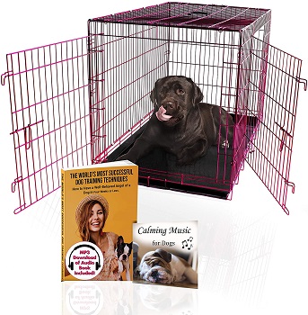 Pet Expressions Foldable Dog Crate