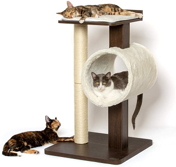 PetFusion Contemporary Cat Condo Tree Review