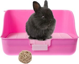 Best 6 Rabbit Cage Litter Box Setups Every Bunny Will Love