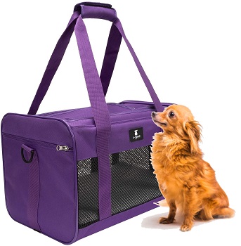 X-ZONE PET Travel Carrier