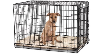 You & Me Large Dog Crate