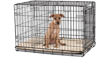 You &aYou & Me Large Dog Cratemp; Me Large Dog Crate