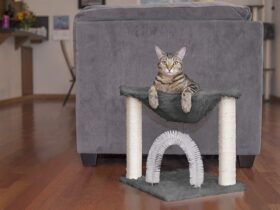 cat tree under 30 dollars