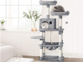 cat tree with hammock for large cats