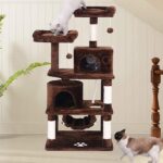 cat tree with large perches