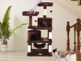 cat tree with large perches