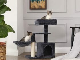 cheap cat tree house
