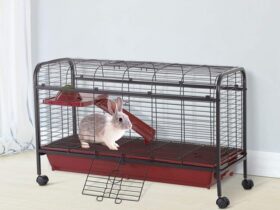 double rabbit cage