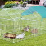 extra-large bunny cage