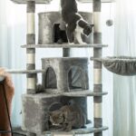 extra large cat trees