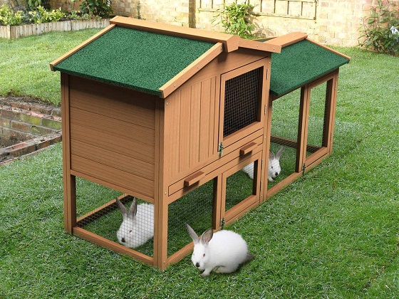 flemish giant rabbit hutch