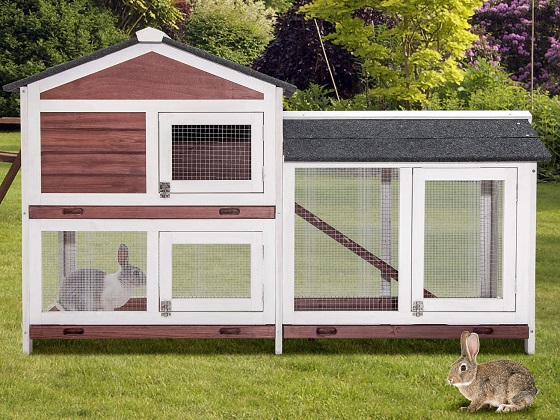 insulated rabbit hutch