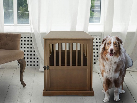 intermediate-dog-crate