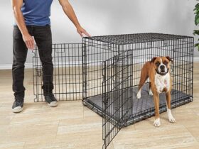 large-collapsible-foldable-dog-crate