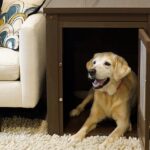 large-decorative-dog-crate
