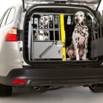 large-dog-car-crate
